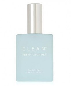 clean_fresh_laundry